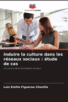 Luis Emilio Figueroa Chonillo | Induire La Culture Dans Les RéSeaux Sociaux :...