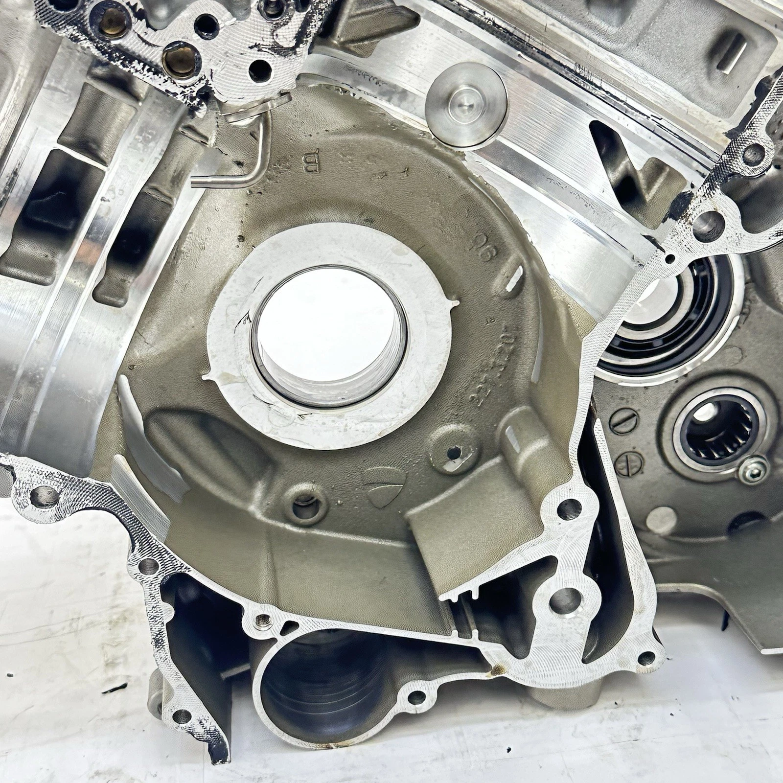 2016 - 2019 DUCATI PANIGALE 959 CRANKCASE ENGINE MOTOR BLOCK CASE BOLTS HARDWARE
