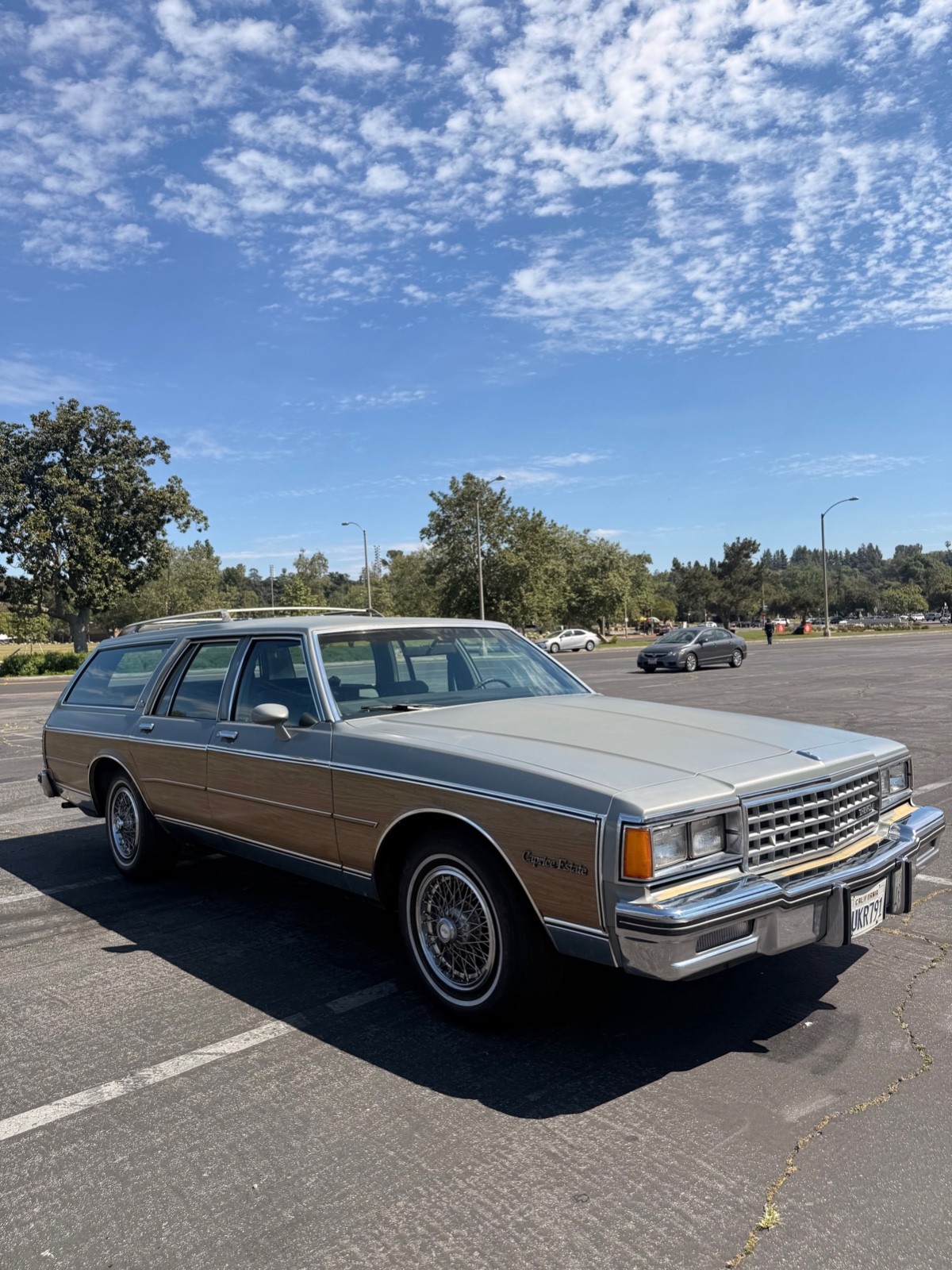 1984 Other Makes classic estate