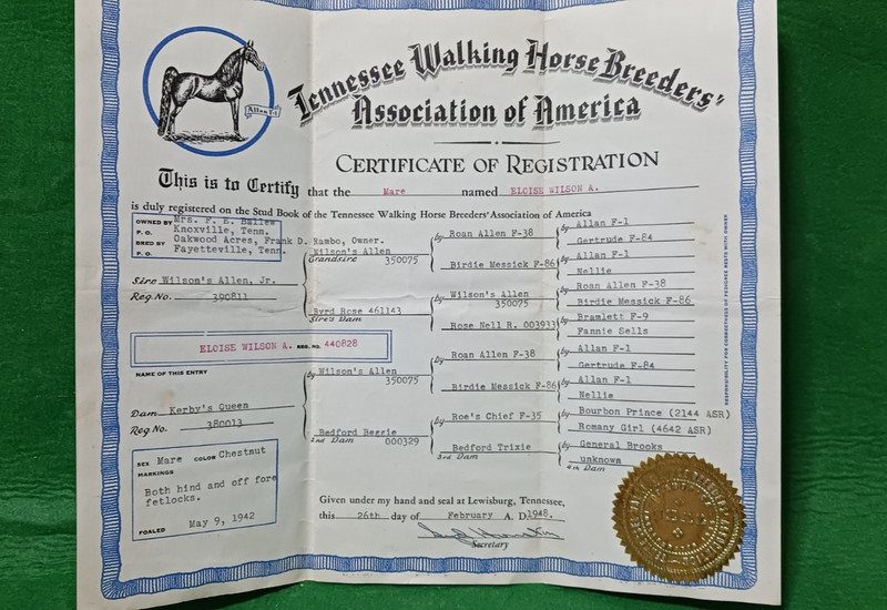 TENNESSEE WALKING HORSE BREEDER'S ASSN. CERTIFICATE of REGISTRATION, 1948