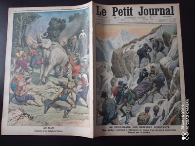Das kleine Tagebuch 1911 1086 In Siam Gefangennahme eines weißen Elefanten