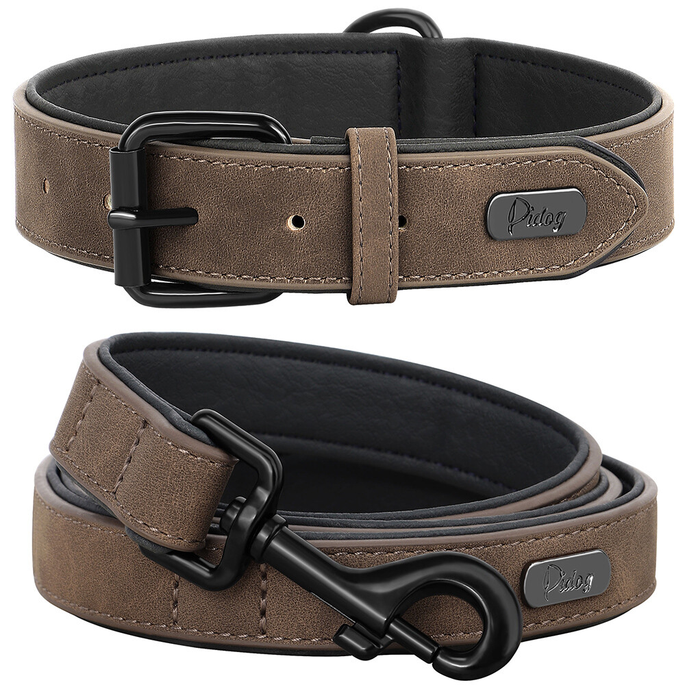 Didog Personalized Leather Dog Collars And Leashes Small Dog