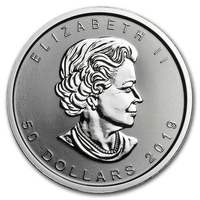 専用② 2019 Canada 1 oz Platinum Maple Leaf BU | eBay
