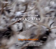 Gunnar Idenstam Gunnar Idenstam: Jukkaslatar CD Hybrid