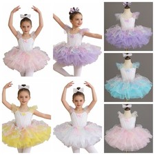Girls Ballet Festival Tutu Dress Show Skirted Skating Outfits Training Jazz