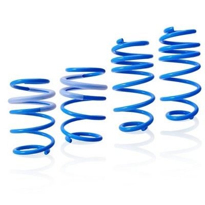 MaXpeedingrods Lowering Springs Set of 4 For  Honda Accord 2018-2024 CV
