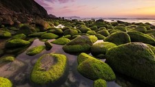 Landscape nature rocks moss mountains sunset beach coast Custom Gaming Mat Desk