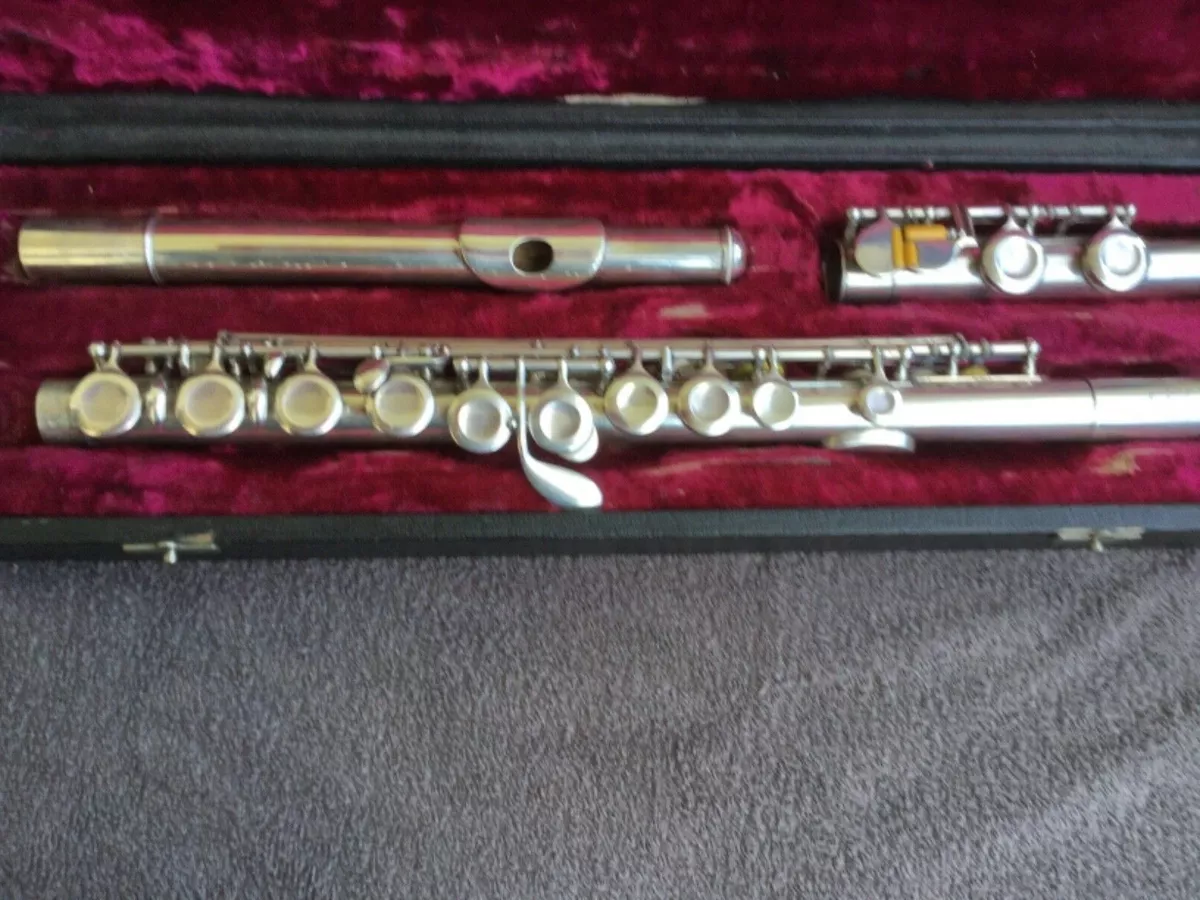 Hammig flute 2024