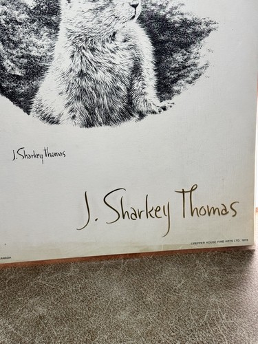 Stampa cane vintage 1973 J. Sharkey Thomas Prairie firmata decorazione arte da parete RARA - Foto 5 di 6