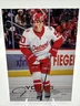 2025-26 Upper Deck Series 1 - Young Guns Dominik Shine #234 (RC)