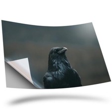 1 x Vinyl Sticker A2 - Crow Blackbird Raver Black Bird #44745