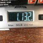 Picture 21 of 22