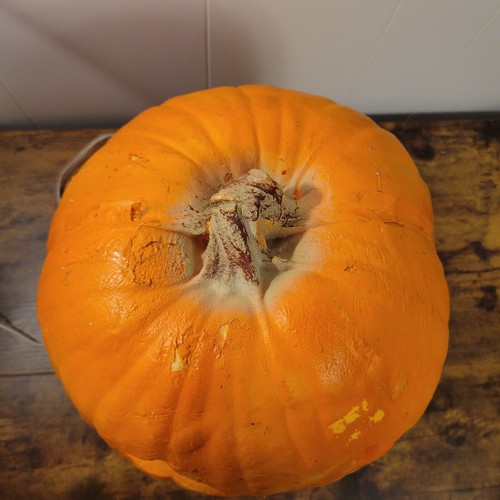1993 Trendmasters 15" Jack O' Lantern Pumpkin Scary Foam Mold Halloween Vintage - Picture 5 of 8