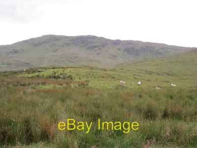 Photo 6x4 Rough grazing, Bluestack Mountains Meenataggart On the edge of  c2012