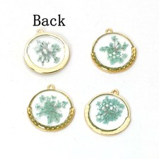C 10PCS Gold Tone Real Dry Queen Anne's Flower Resin Round Charm Pendant GYX112