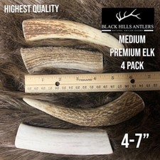 Medium Premium Elk Antler Dog Chew - 4 Pack