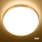 Bild 199 von 350