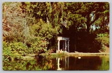 Golden Gate Park Stanyan Street John McLaren Chrome Postcard Unposted