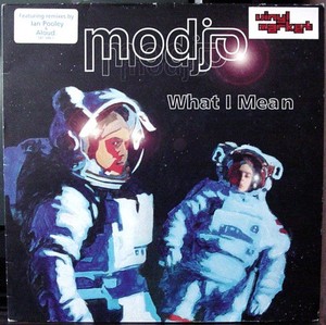 Modjo Vinyl | eBay
