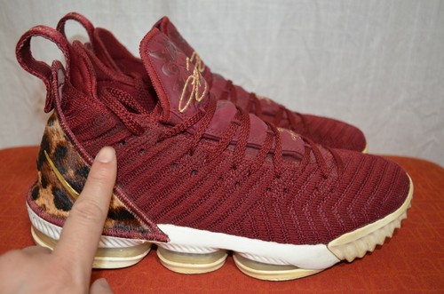 nike zoom lebron 16