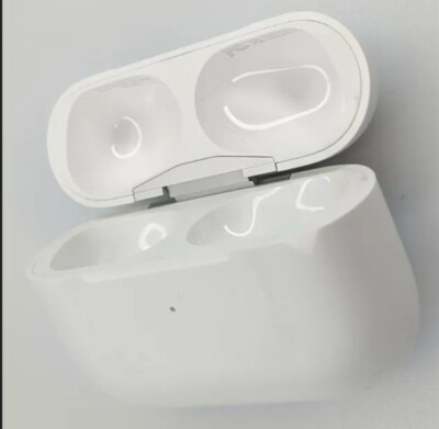 イヤホン AirPods Pro MWP22AM/A A2190 Genuine Apple AirPods Pro Charging Case (A2190) MWP22AM/A | eBay