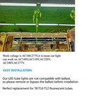 Bild 12 von 13