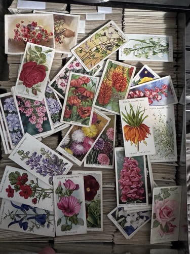 Flower/floral/gardening related tobacco cards RANDOM MIX (10 Count)