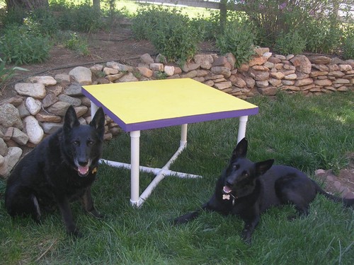 1 Set Of Dog Agility Pause Table Extra Legs. You Pick Size - Picture 2 of 2