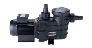 pompe piscine 4 cv
