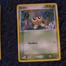 Seedot Ex Crystal Guardians 60/100 Pokemon Cards