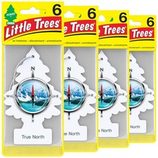 Little Trees 67146 True North Hanging Air Freshener for Car  Home 24 Pack 