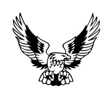 Adler, Raptor, Autos,Trucks, Boats Aufkleber, vinyl Sticker, Tuning, Styling