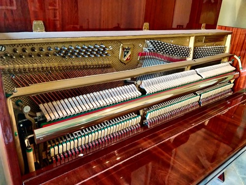 Pianoforte Verticale Petrof (con Silent Genio) - Foto 3 di 6