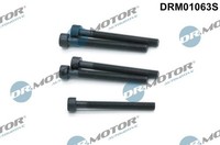 Dr.Motor Automotive Schraube, EinspritzdüSenhalter DRM01063S FüR VW