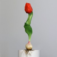 6Er Set KüNstliche Tulpen Mit Zwiebel Rot GrüN H. 25Cm Dpi Kunstblumen