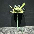 Metal Garden Frog Ornament Ref Gc2
