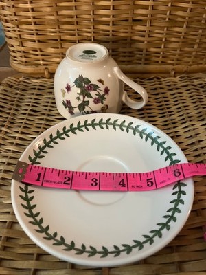 Portmeirion Botanic Garden Footed Teacup and Saucer Susan Williams-Ellis