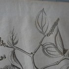 Bild 8 von 19