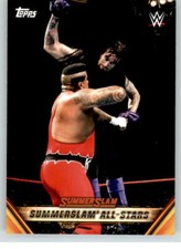 2019 WWE Summerslam All Stars #7 Undertaker Kama