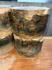 1Pc. Unique Color Premium  Ambrosia Maple  Stump turning pc 6 x 4"