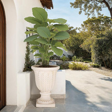 SAFAVIEH Outdoor Patio Furniture Collection - Apollo Off-White Planter Pot, Magn
