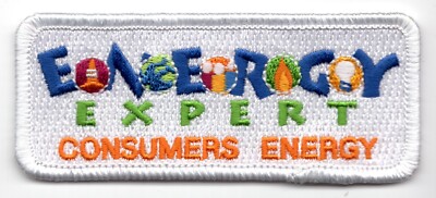 Vintage Girl Scouts Energy Expert Consumers Energy Badge Fun Patch 3.5x1.5''