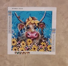 Diamond Painting Full Drill Completed /no Frame 30 X 30cm