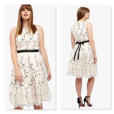 phase eight plus size