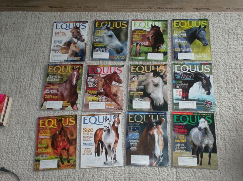 Lot 12 Equus magazines 2007 full year January through December