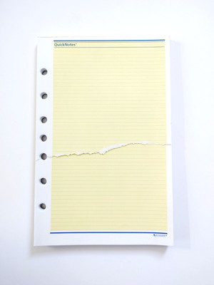Vintage 1990s AT-A-GLANCE QuickNotes Planner Sheets 49.5 sheets size 5.5'' x 8.5''