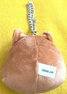 SKZOO Stray Kids RUN IT in Japan Random FACE KEYRING Official