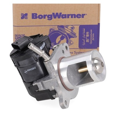 BORGWARNER AGR Ventil für MERCEDES W166 W221 X166 OM642 6421402160