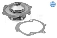Wasserpumpe MotorküHlung Meyle 613 220 0010 FüR Chevrolet Alfa Saab Opel CC C100