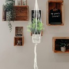 Foto 7 di 10